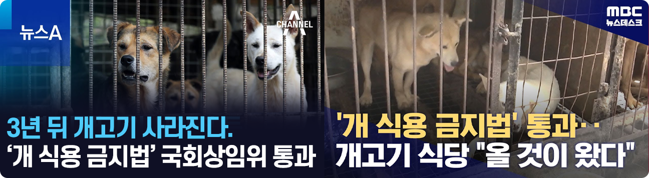 진초방흑염소뉴스이미지